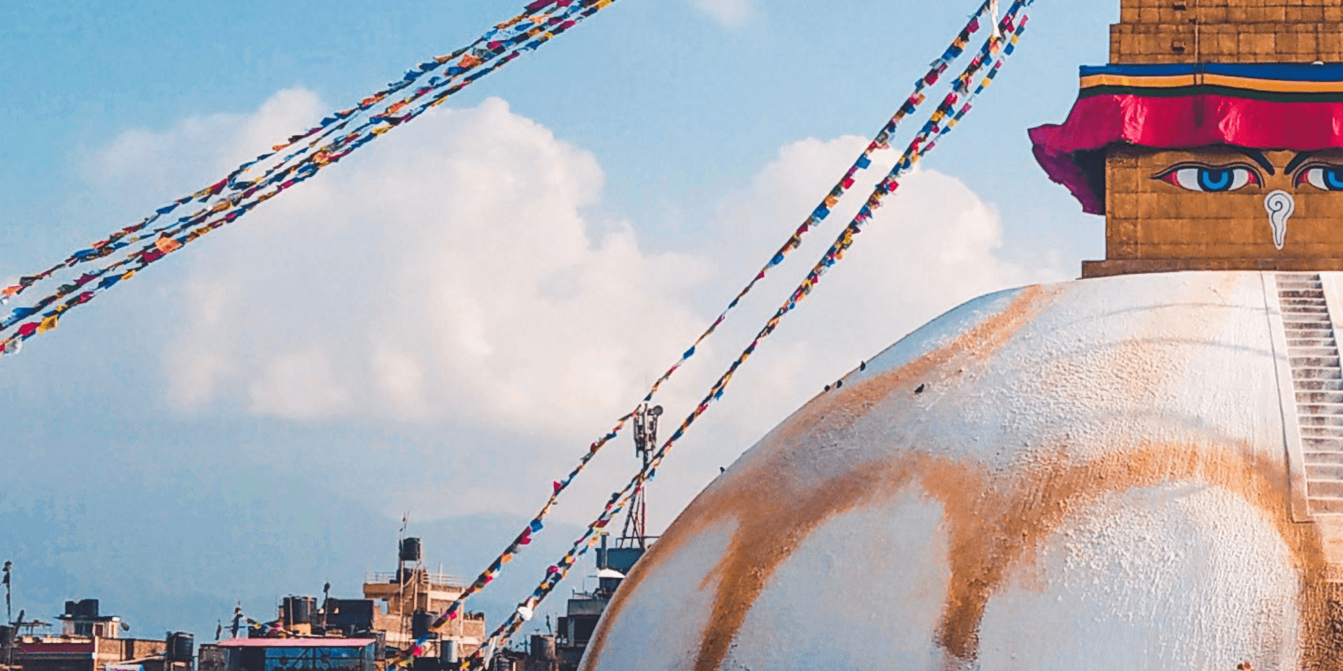 Background - Rikesh Niroula Profile